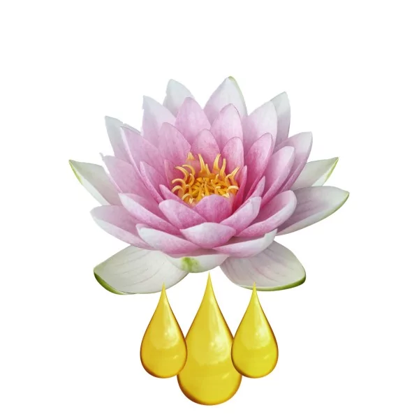 Fleur de Lotus Extrait 