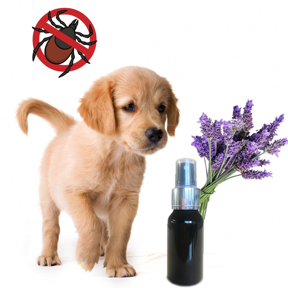 SORAY ANTIPARASITES POUR CHIENS A LA LAVANDE