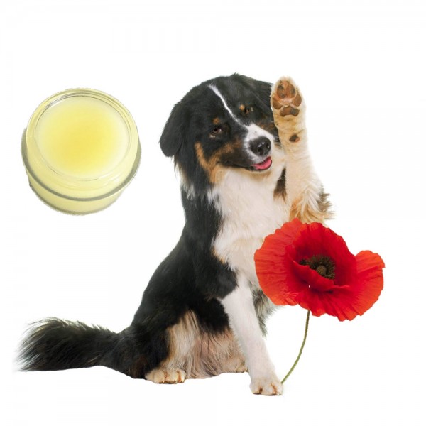 RECETTE BAUME PATTES CHIEN PARFUM COQUELICOT