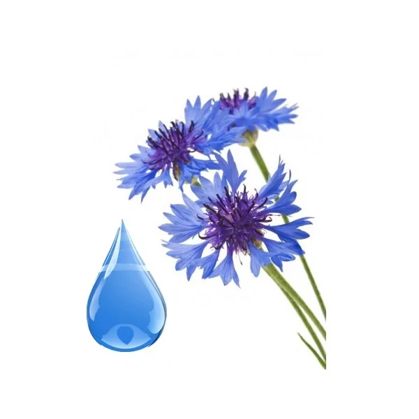 Bleuet fleurs MACÉRAT HUILEUX