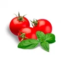 Parfum cosmétique Tomate Basilic 
