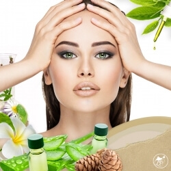 Atelier cosmétique force végétale