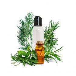 RECETTE SHAMPOING CHEVEUX GRAS