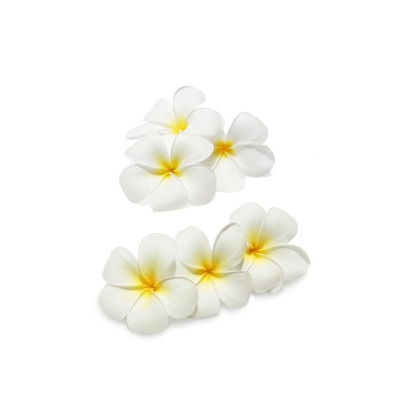 Parfum cosmétique Jasmin Précieux 