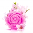 RECETTE SAVON MELT AND POUR FLEUR DE CERISIER