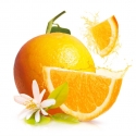 Fleur d'oranger arôme alimentaire naturel