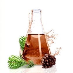 Parfum cosmétique Cèdre