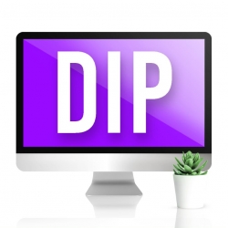 DIP SAF base A parfum Agrumes