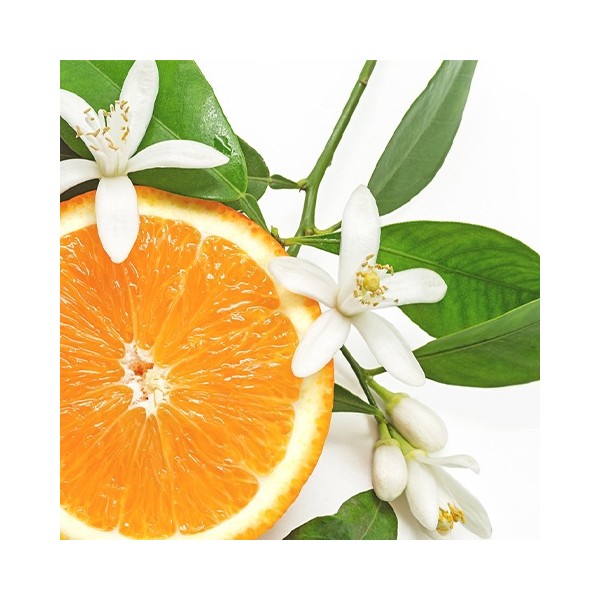 Parfum cosmétique Fleur d'Oranger