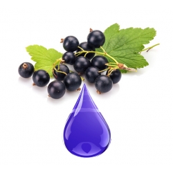 Cassis MACÉRAT HUILEUX