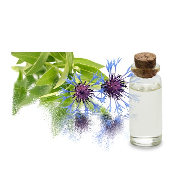 Hydrolat Bleuet