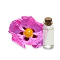 hydrolat de Ciste bio