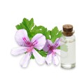 Hydrolat de Geranium Bourbon bio 