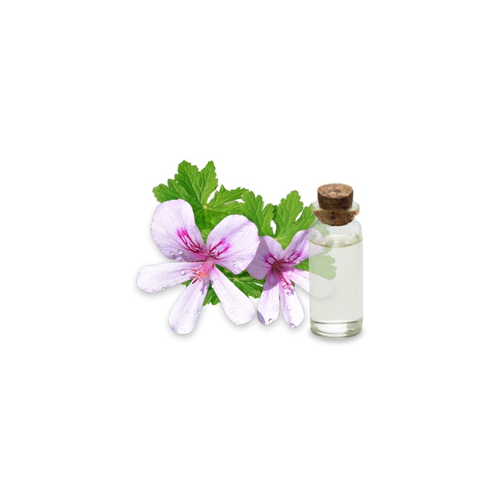 Hydrolat de Geranium Bourbon bio 