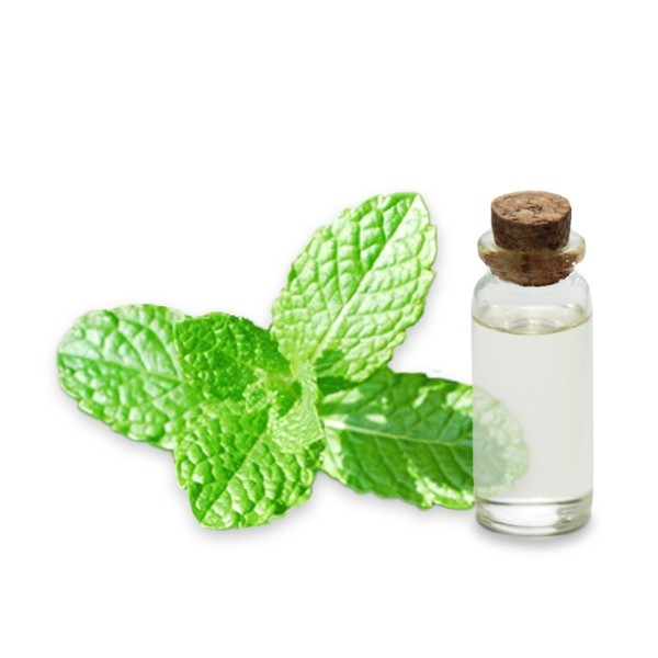 Hydrolat de Mélisse bio de Provence 