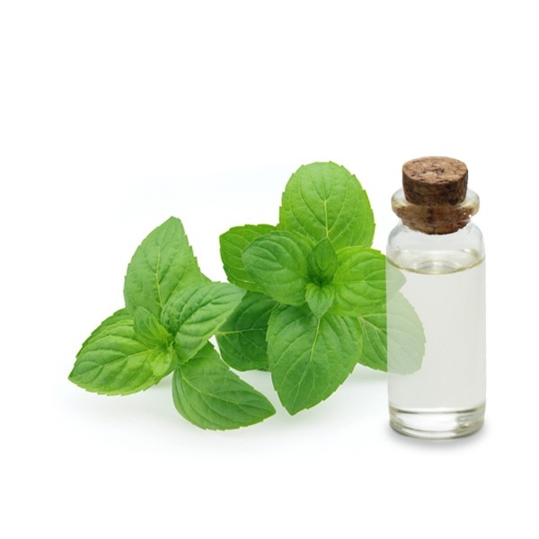 Hydrolat Menthe poivrée bio