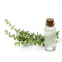 Hydrolat Thym linalol bio