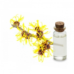 Hydrolat d'Hamamélis