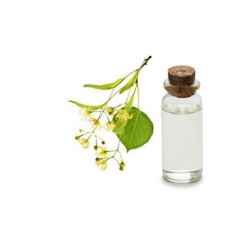 Hydrolat Tilleul