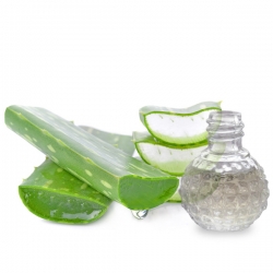 Eau d'Aloe vera bio