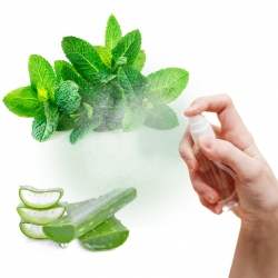 RECETTE BRUME TONIFIANTE POUR LA RENTREE