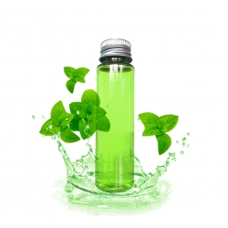 RECETTE LOTION TONIQUE BONNE MINE MENTHE POIVREE