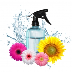 RECETTE NETTOYANT SURFACES PRINTEMPS FLORAL