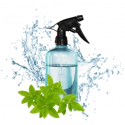 RECETTE NETTOYANT SURFACES VERVEINE