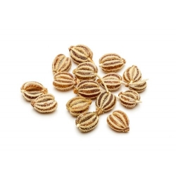 Huile essentielle Ajowan