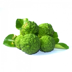 Bergamote Zeste BIO HUILE ESSENTIELLE 
