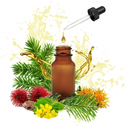 HUILE A BARBE/CHEVEUX NOURRISSANTE PARFUM PIN