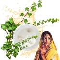 RECETTE MASQUE CAPILLAIRE CHEVEUX GRAS PARFUM BAISER INDIEN