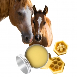 RECETTE BAUME CHEVAUX SABOTS ET NASEAUX