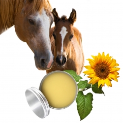 BAUME CHEVAUX SABOTS ET NASEAUX 