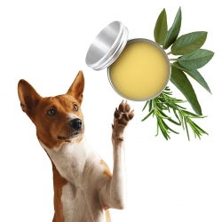 RECETTE BAUME PATTES CHIEN PARFUM SAUGE ROMARIN