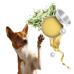 RECETTE BAUME PATTES CHIEN PARFUM MOUSSE DE CHENE - DOUCEUR DE SOIE
