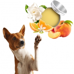 RECETTE BAUME PATTES CHIEN PARFUM PECHE - FLEUR D'ORANGER