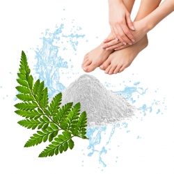 POUDRE PIEDS ANTI-ODEUR PARFUM FOUGERE