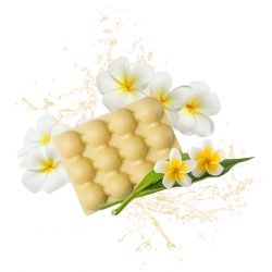 FONDANTS DE MASSAGE SENTEUR MONOI