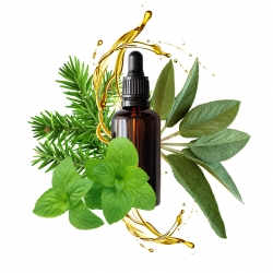 RECETTE MELANGE D'HUILES ESSENTIELLES ENERGISANT