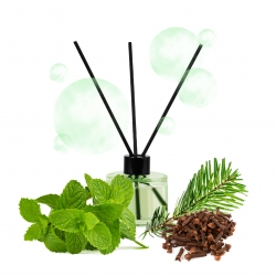RECETTE DIFFUSEUR BAMBOU DYNAMISANT