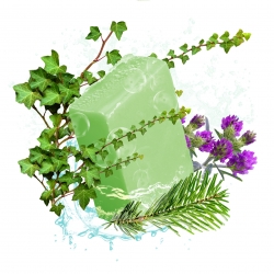 SAVON DETOX SENTEUR PIN 