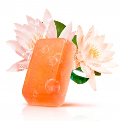 RECETTE SAVON MELT AND POUR SPECIAL PRINTEMPS