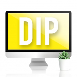 DIP lait corporel ginseng