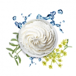 RECETTE CHANTILLY CORPORELLE CRISTE MARINE