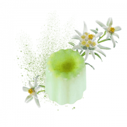 CIRE PARFUMEE D'AMBIANCE EDELWEISS