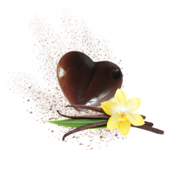 RECETTE CIRE PARFUMEE D'AMBIANCE VANILLE
