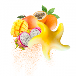 CIRE PARFUMEE D'AMBIANCE FRUITS EXOTIQUES ET ANANAS