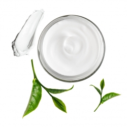 RECETTE CREME CORPS THE VERT PAQUERETTE INCA INCHI