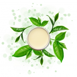 RECETTE PARFUM SOLIDE THE VERT